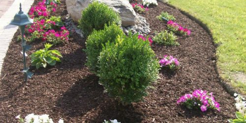 Landscaping Company, Landscaping Service, Free Estimates (12)
