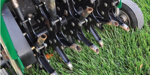 Lawn Aeration & Overseeding Service
