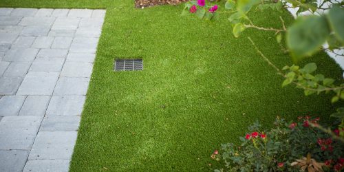 Lawn Clean Up, Fall Clean Up, Spring Clean Up
