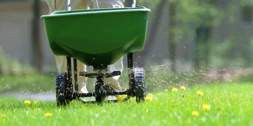 Lawn Fertilization , Fertilization Service